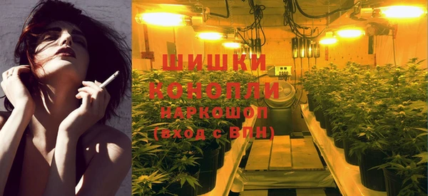 спиды Осинники